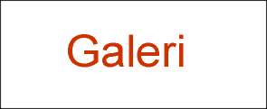 galeri