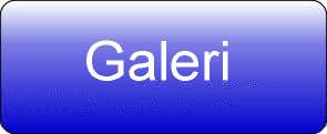 galeri